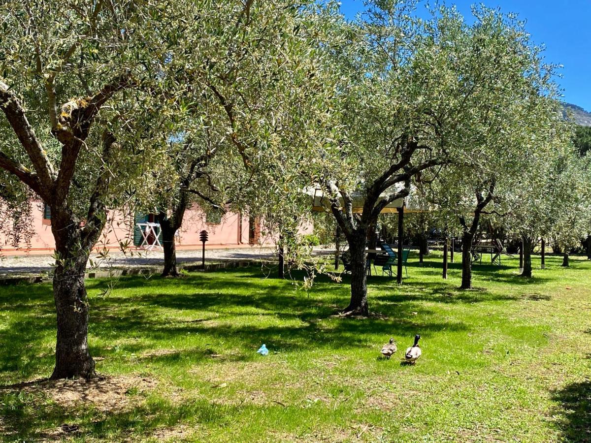 Residence Terme Isola D'Elba Srl Portoferraio Exterior photo