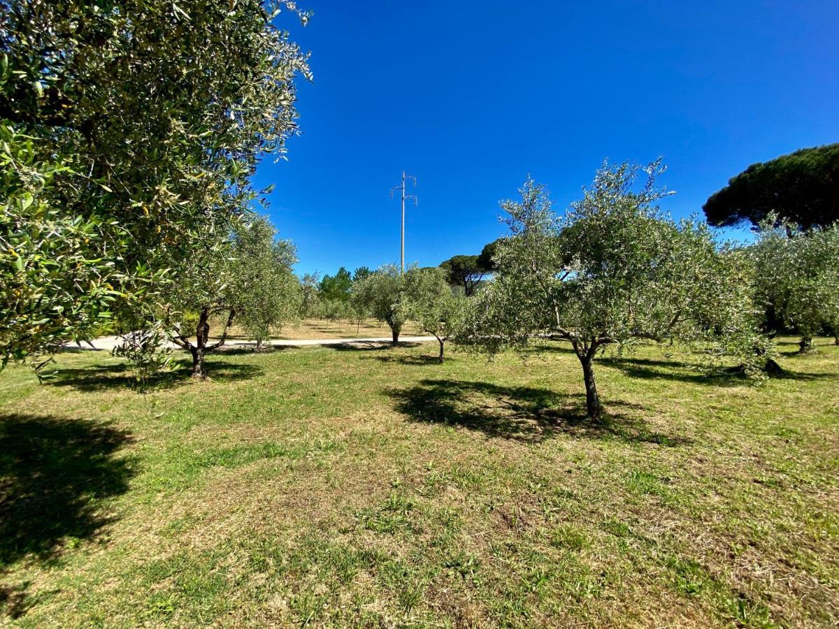 Residence Terme Isola D'Elba Srl Portoferraio Exterior photo